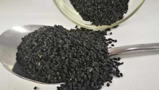 10 Khasiat Habbatussauda: Rahsia Jintan Hitam untuk Kesihatan 7 10 Khasiat Habbatussauda: Rahsia Jintan Hitam untuk Kesihatan